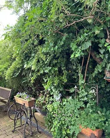 Apartment Cblue Friedrich Franz, 500 M Zum Strand, Zentral *