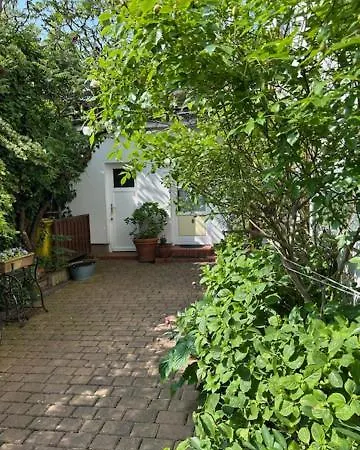 Cblue Friedrich Franz, 500 M Zum Strand, Zentral Rostock